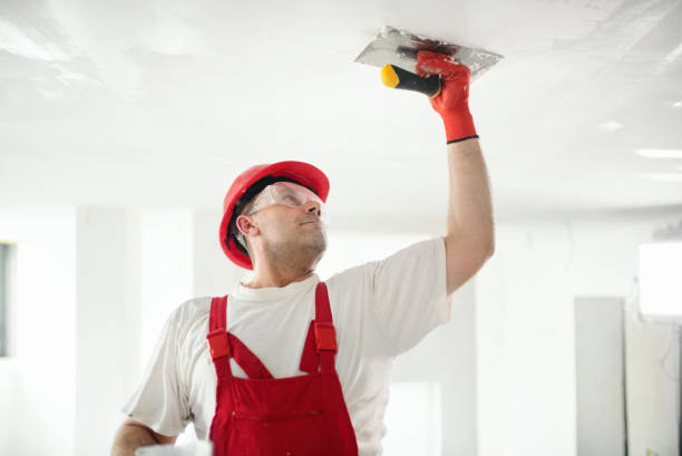 Best Drywall Installation  in Lemont Furnace, PA